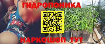 крисы Мариинск